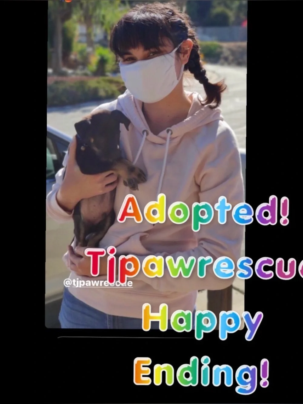 Tijuana Paws n Whiskers Rescue! ❤️